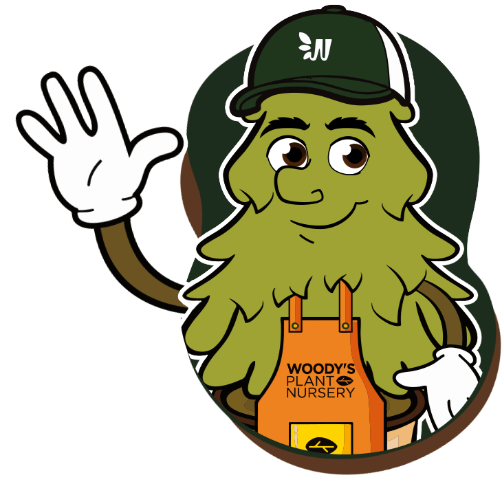 Personaje_Woody's Personaje_Woody's