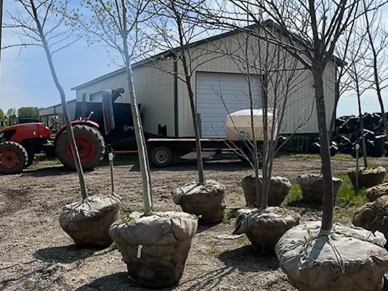 1_CP_BlogSale_Woody_s_9