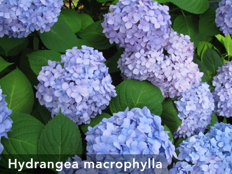 3_CP_Blog_Woody_s_13