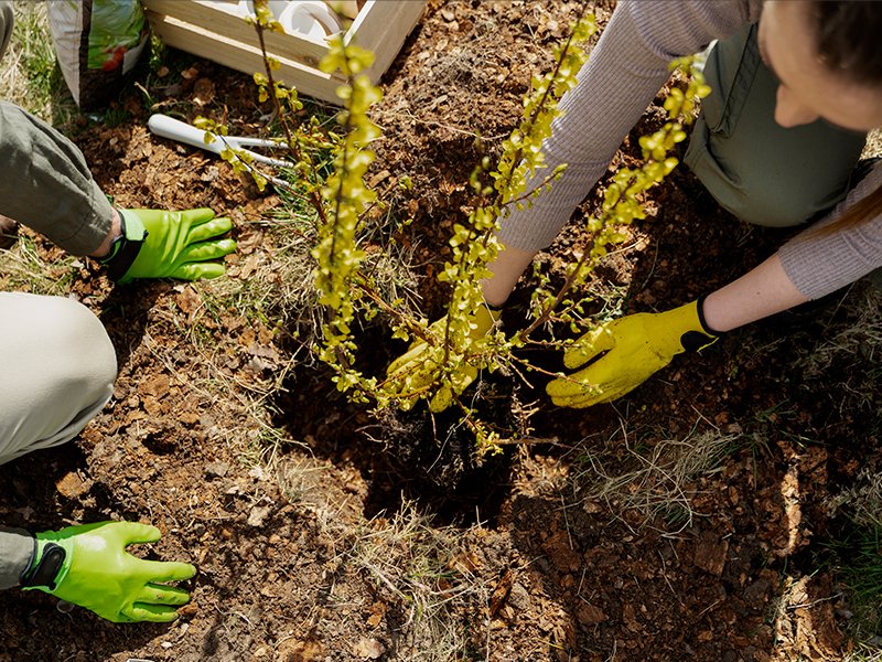 1_Woody_s_Agosto_FC_4