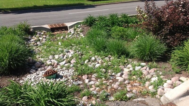Bioswales and green infrastructure