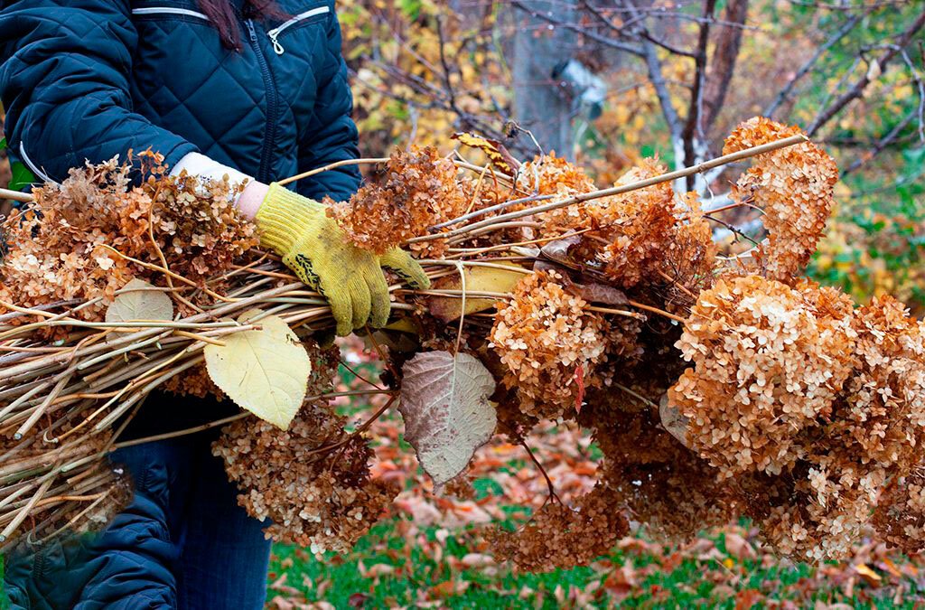 Gardening in Illinois