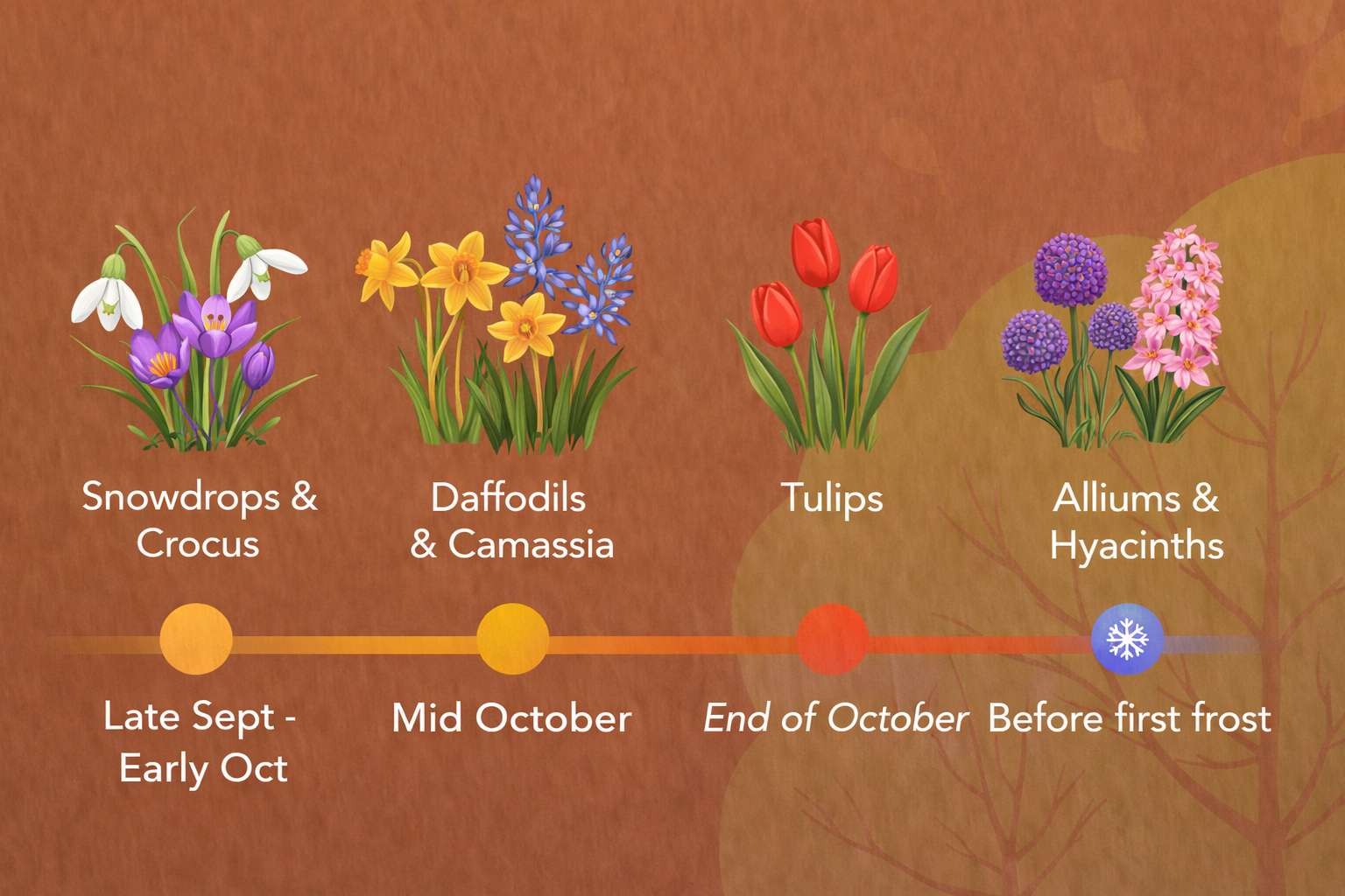 Bulb planting process