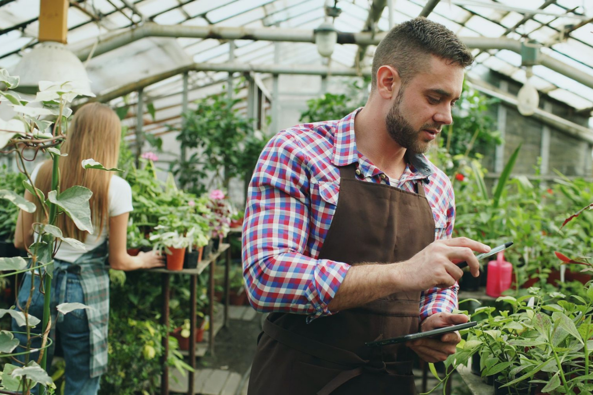 Nursery crew working among plants in a greenhouse